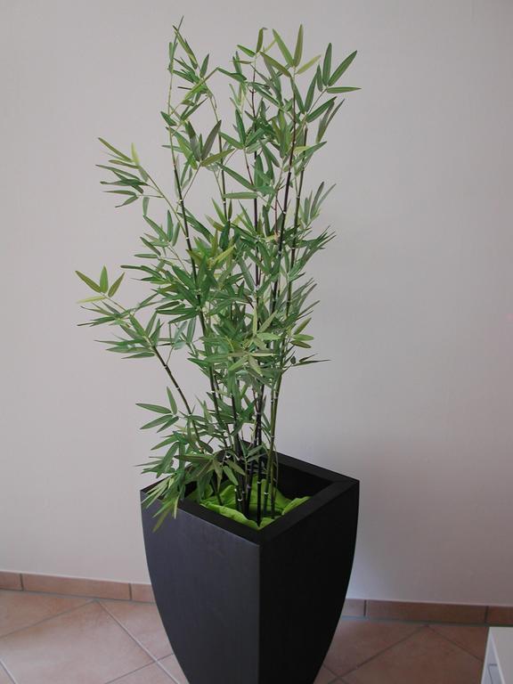Ferienwohnung Pusteblume Cochem Szoba fotó